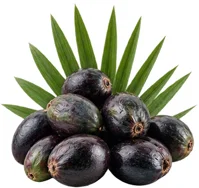 Protonex – saw palmetto fruit extract ingredient
